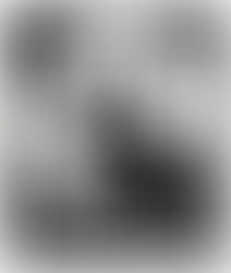 Understanding Fair Trade coffee