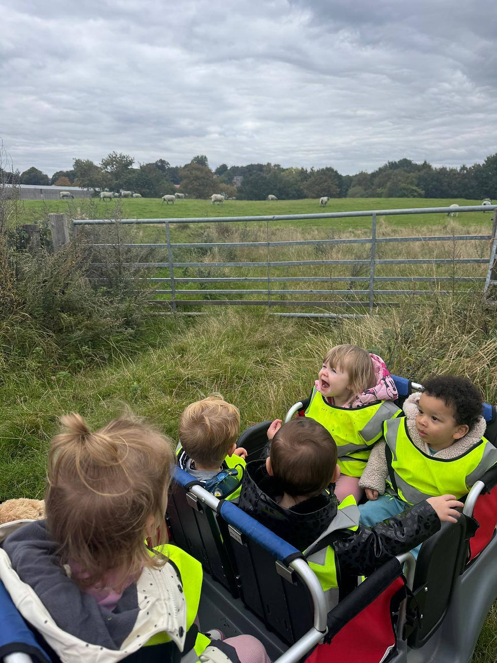 555085997_10240605797584983_5295214276749734036_n