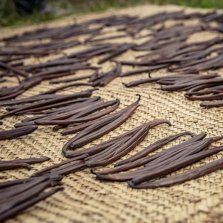 Thumbnail: Vanilla Pods 4g