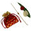 Thumbnail: Rakhi For Brothers Golden bracelet with Roli, Rice and Gifting Pouch, Brown bead