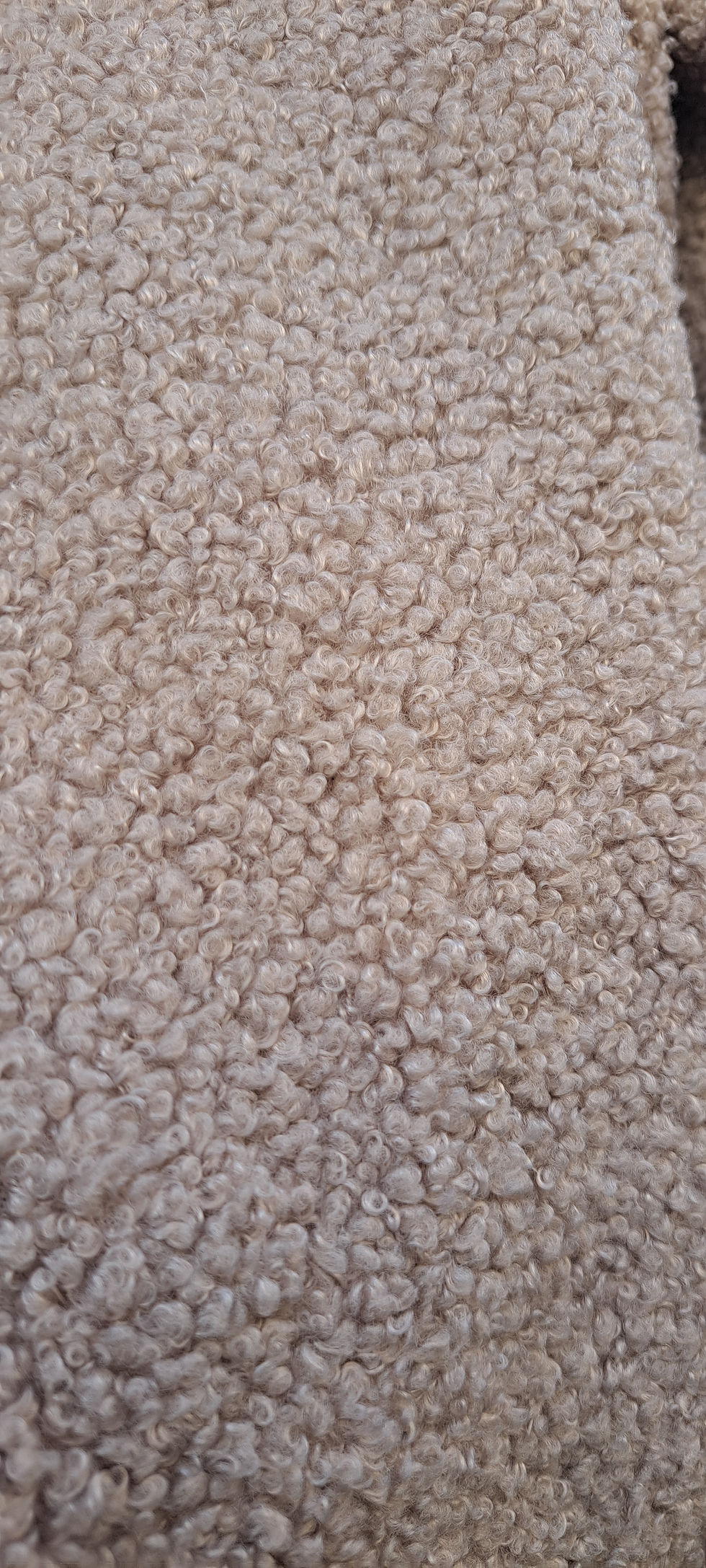 Miniature : LE MAXI : Bouclette GREIGE