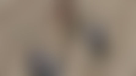 Avignon : Des vignes en Intra-muros !