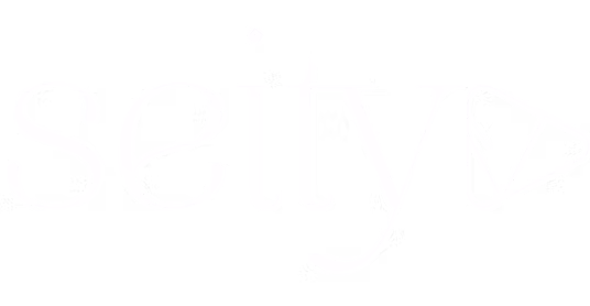 Logo Seity