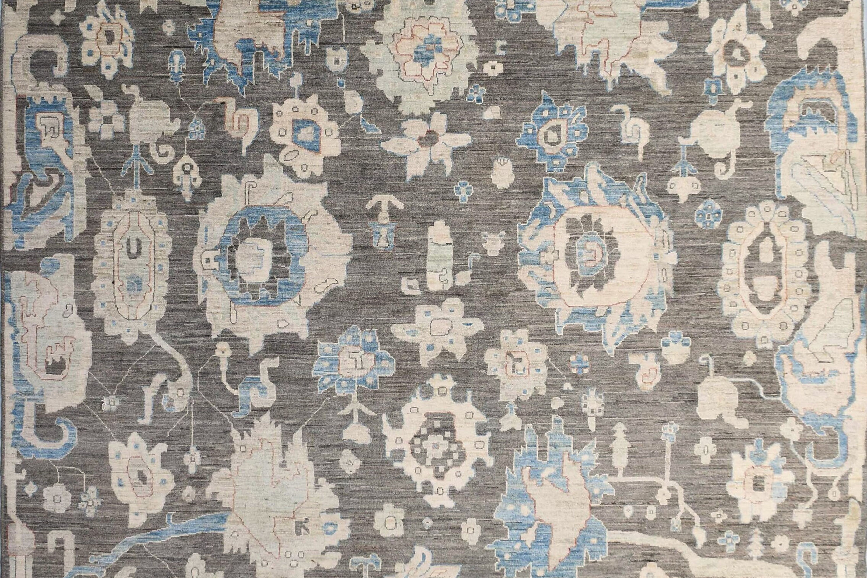 10x14 ft Modern Aryana Rug, Transitional Modern Rug, Afghan Oriental Area Rug, D