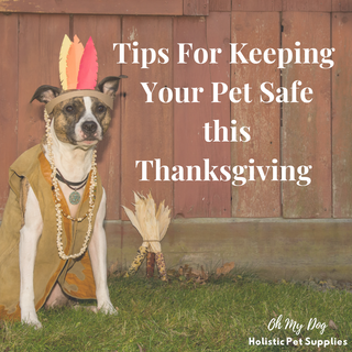 holistic pet supplies