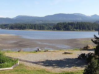Mindfulness in the Natural World - Summer Weekend Workshop - Aug. 12 & 13, 9am-4pm in Ladysmith