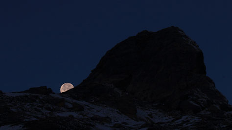 Cache cache avec les lagopèdes