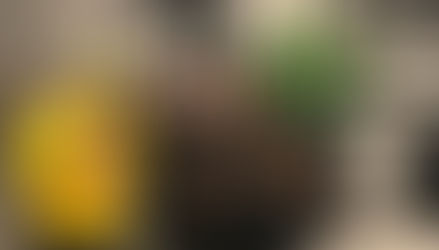 Plan B 's Maldy Drop In