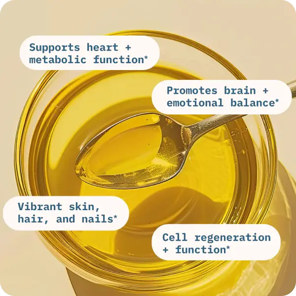Thumbnail: Balance Oil (Omega 6 + 3) 60 softgels