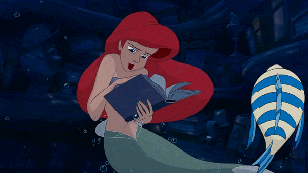 Ariel and Flounder from Disney's The Little Mermaid