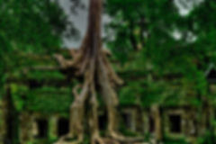 pexels-photo-1534057.jpeg