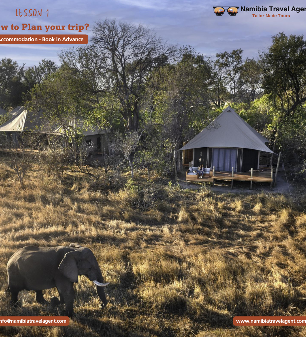 Namibia Travel Agent Luxury tours.png