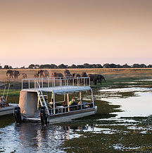 Chobe River Camp_2.jpg