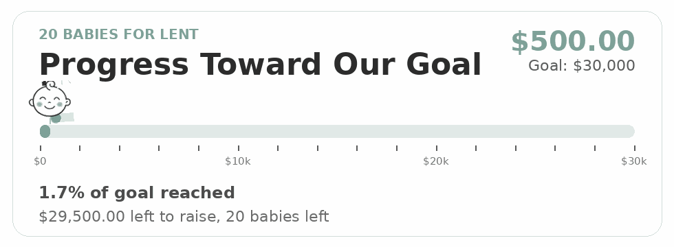 20_babies_for_lent_progress_white_v2.gif