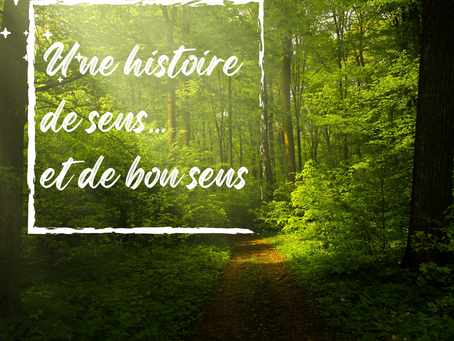 Et si on se reconnectait au bon sens ?