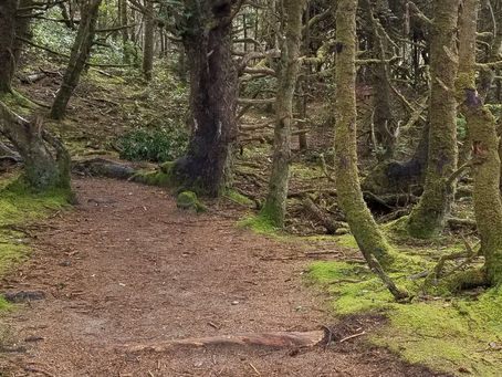 Hobbit Trail