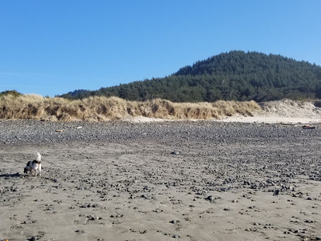 Stonefield Beach State Recreation Site North & South