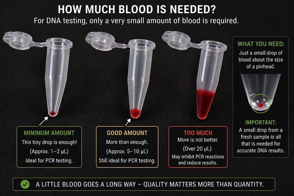 blood samples.PNG
