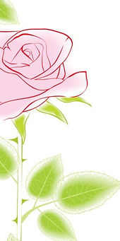 rose.jpg