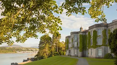 plas newydd pic.webp