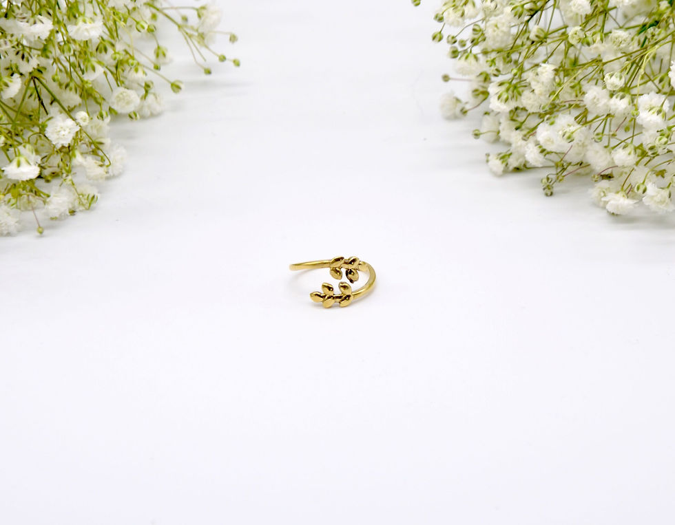 Anello Artigianale Etnico Gangotri Simil Argento dal'alto