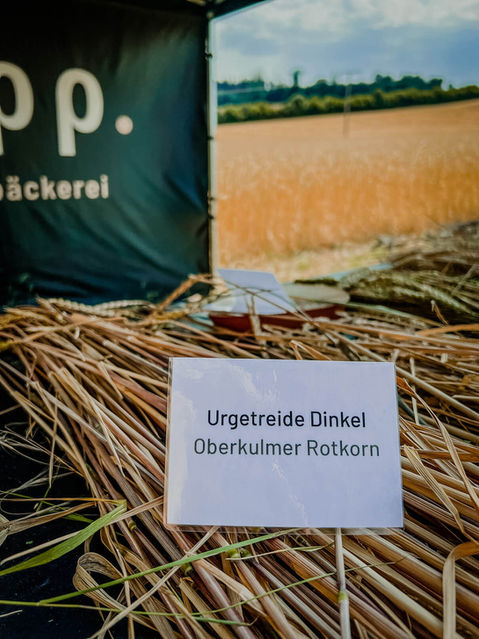 Bopp Feldertag