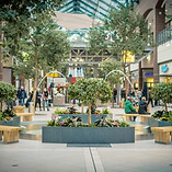 Shopping Mall Fountain