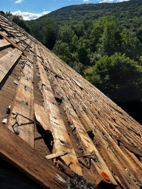What lies beneath the shingles