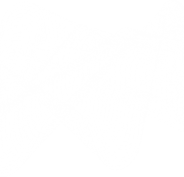 Spoknat.png