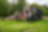 SwinginTits3_small.jpg