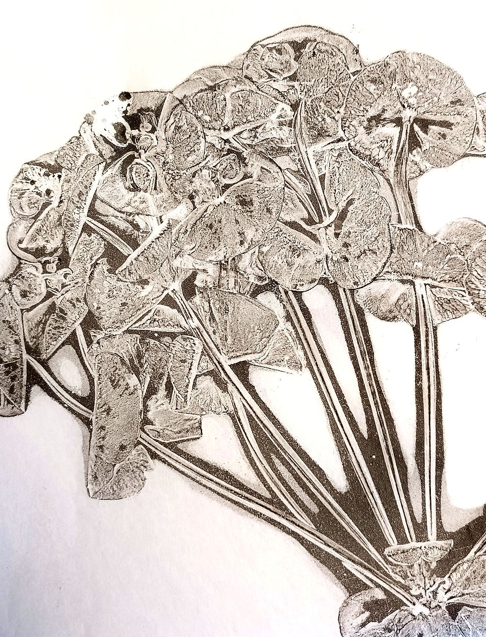 Thumbnail: WORKSHOP - Gelli Plate Printmaking Introduction, 'Botanical Patchwork'.
