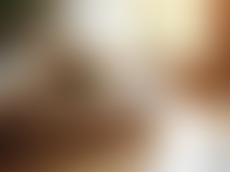 Professional Pet Sitting Solutions by Lis's Loyal Walkers