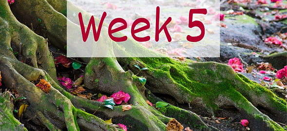 Week 1 (4).png