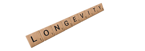 Scrabble tiles spell out the word "Longevity," symbolizing the journey towards a long and fulfilling life.