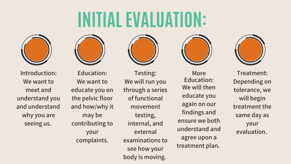 Pelvic Floor Slide Show (5)