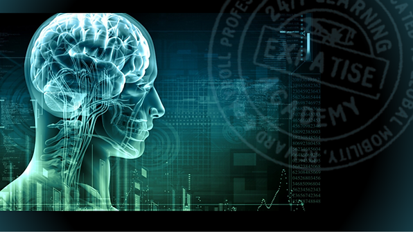 Navigator header.png