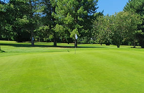 WEBSITE THE COURSE SECTION.jpg
