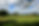 Behind the 13th Green.jpg