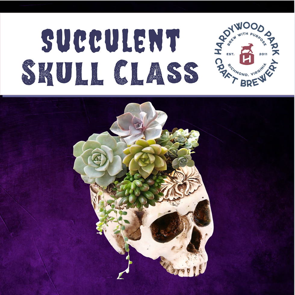 Thumbnail: Succulent Skull Class: Wed., Oct. 21st, 6:00pm @Hardywood West Creek
