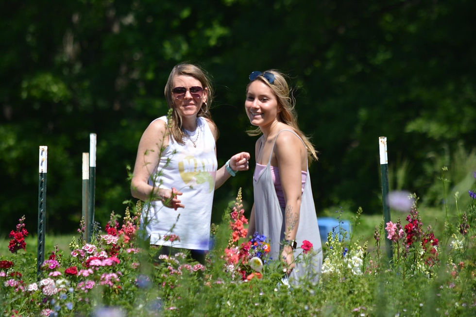 Thumbnail: Farmers Market & Pick-Your-Own Bouquet @ Freckled Flower Farm