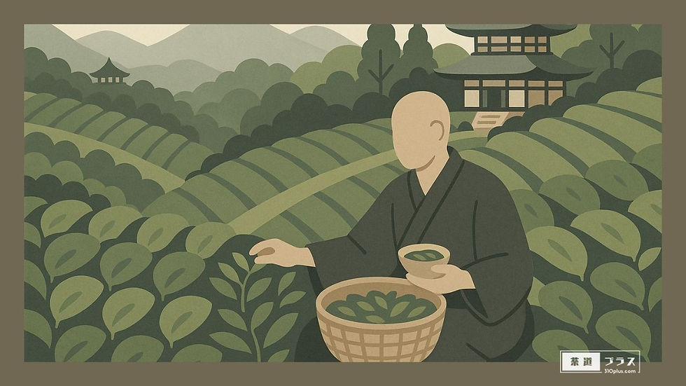 山あいの茶畑で、袈裟姿の僧侶が茶葉を摘んでいる様子を描いた、茶の歴史や文献の記述を象徴するイメージ画像。