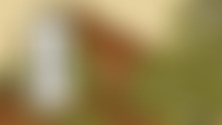 大徳寺の山門「金毛閣」と「茶道の歴史 第五回 茶の湯文化の誕生 室町時代(後期)」と記された掛軸が描かれた静寂な構図を背景に、わび茶の美学を体現した武野紹鷗の実践を象徴する「茶道の歴史」カテゴリのカバー画像。