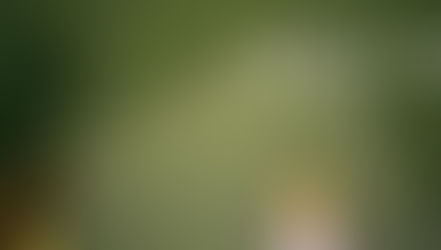 Retrospetiva: American Football