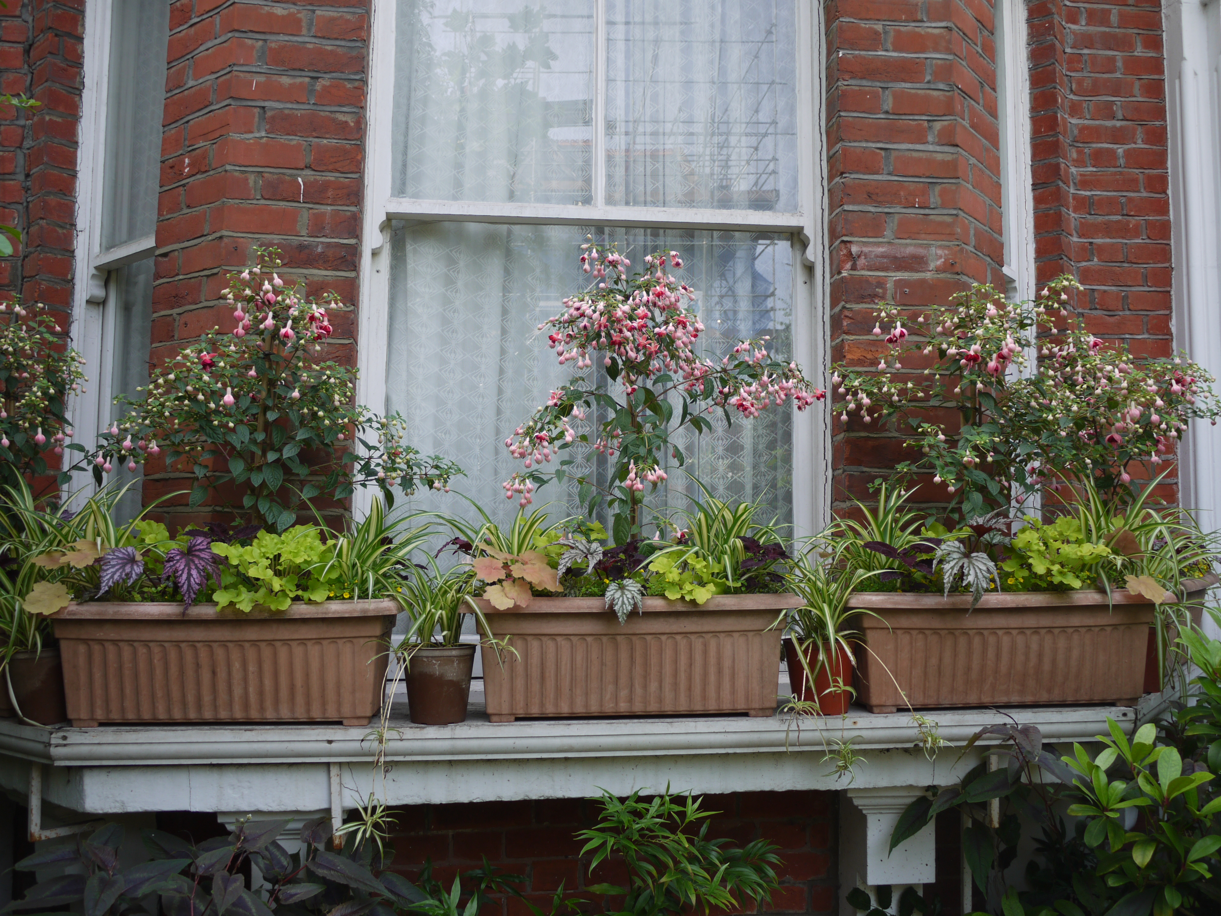 Harvey's Window Boxes