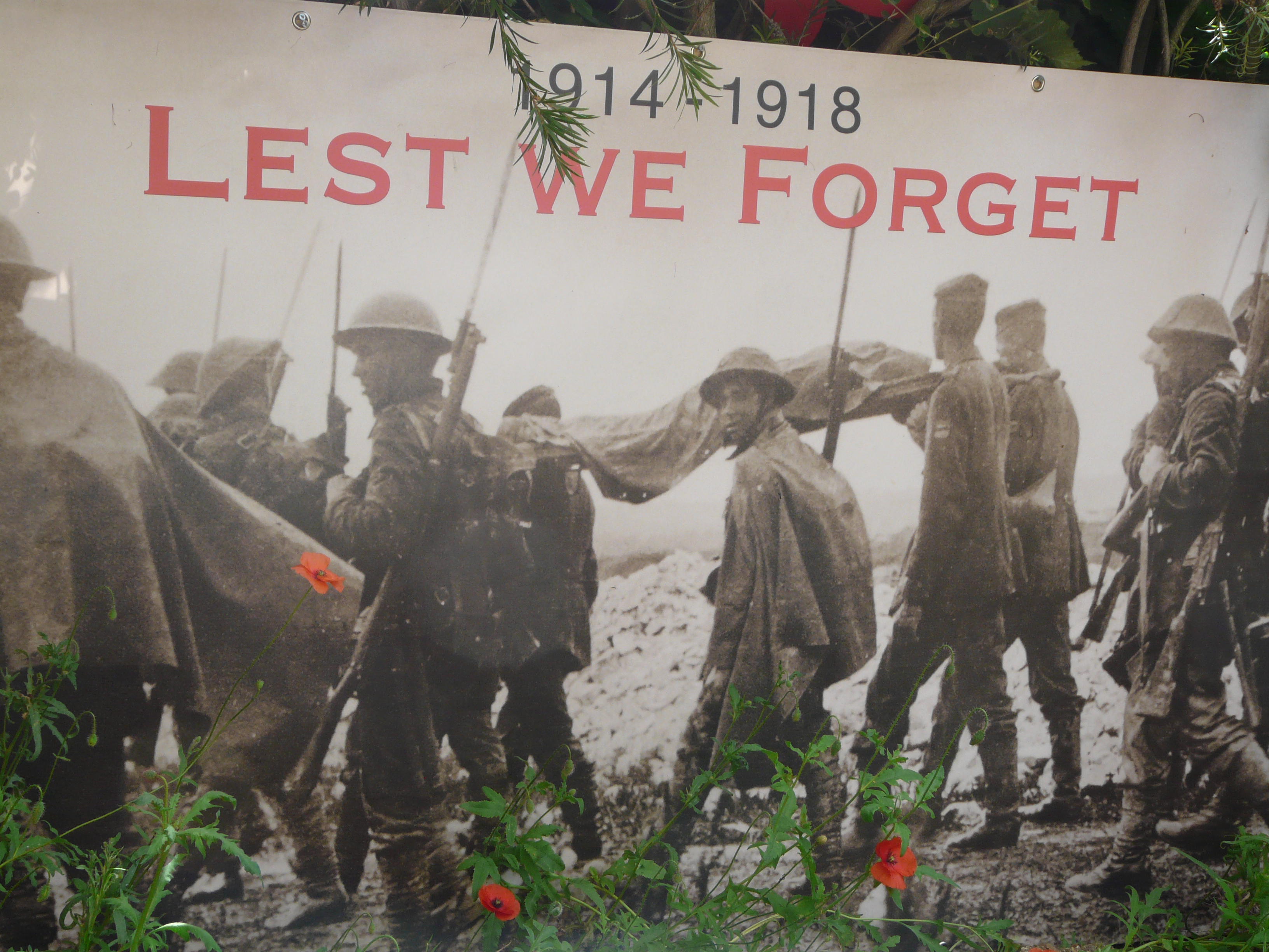 Harvey's WWI Garden