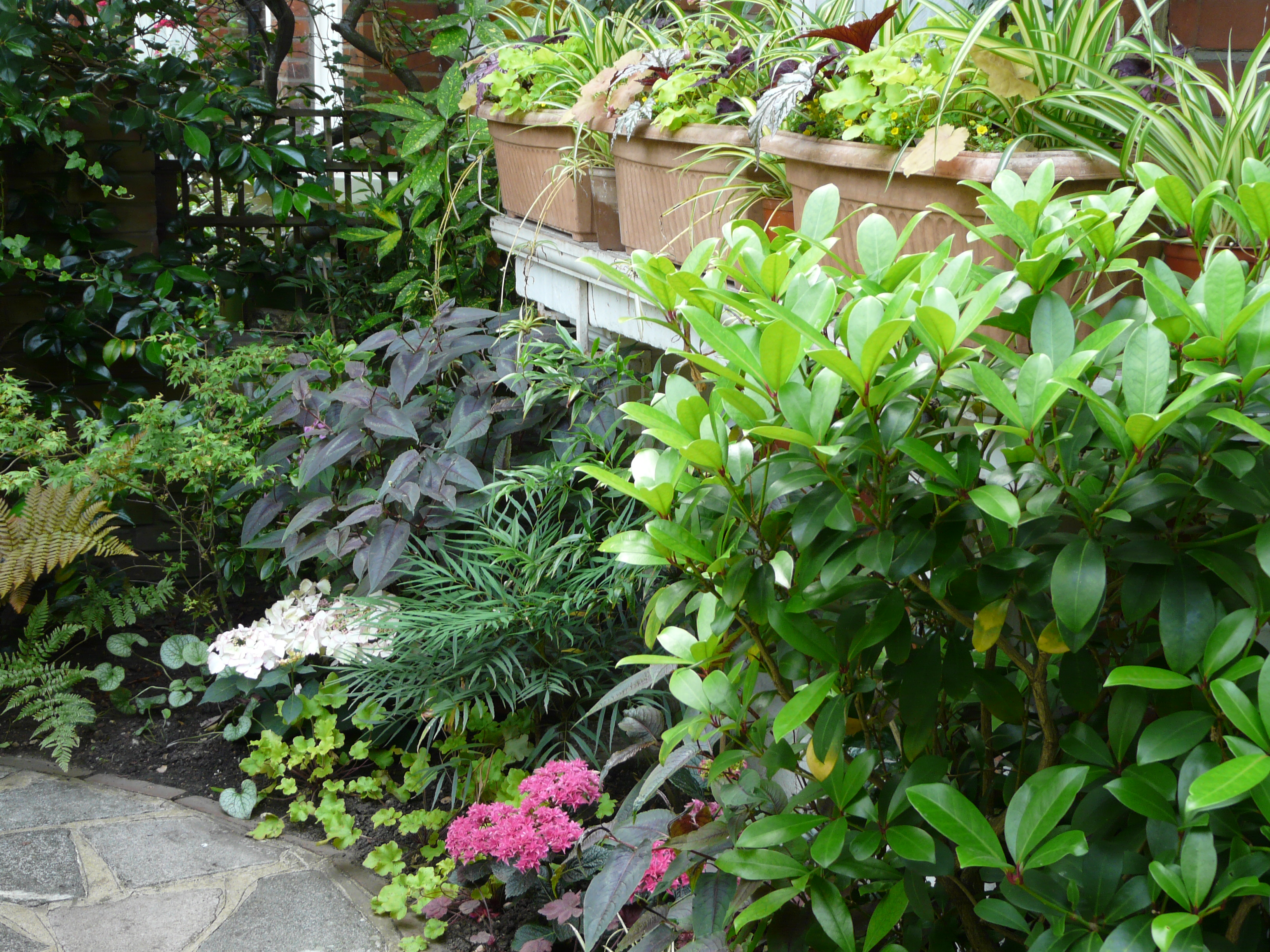 Harvey's Front Garden