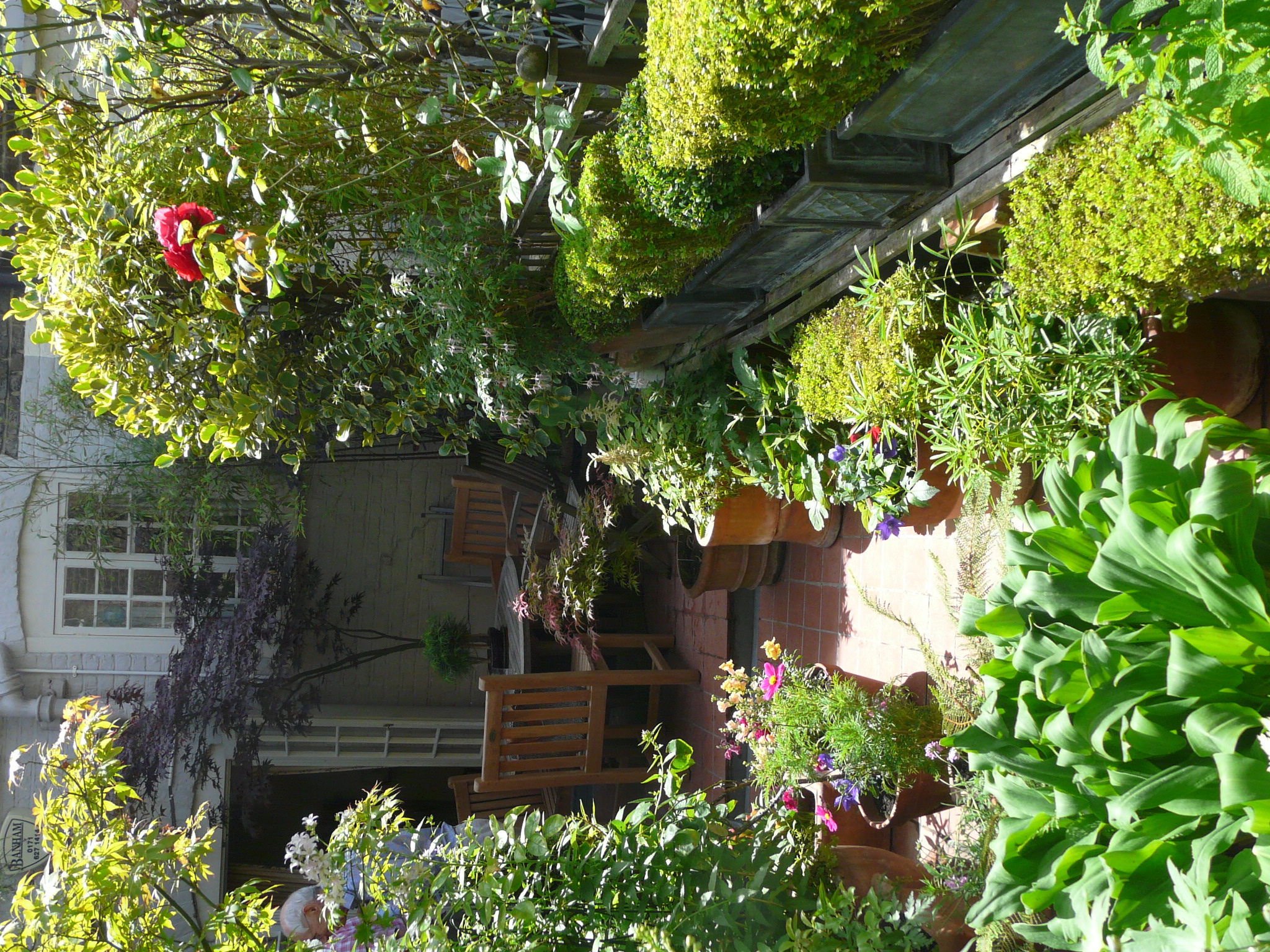 Peter's Roof Terrace