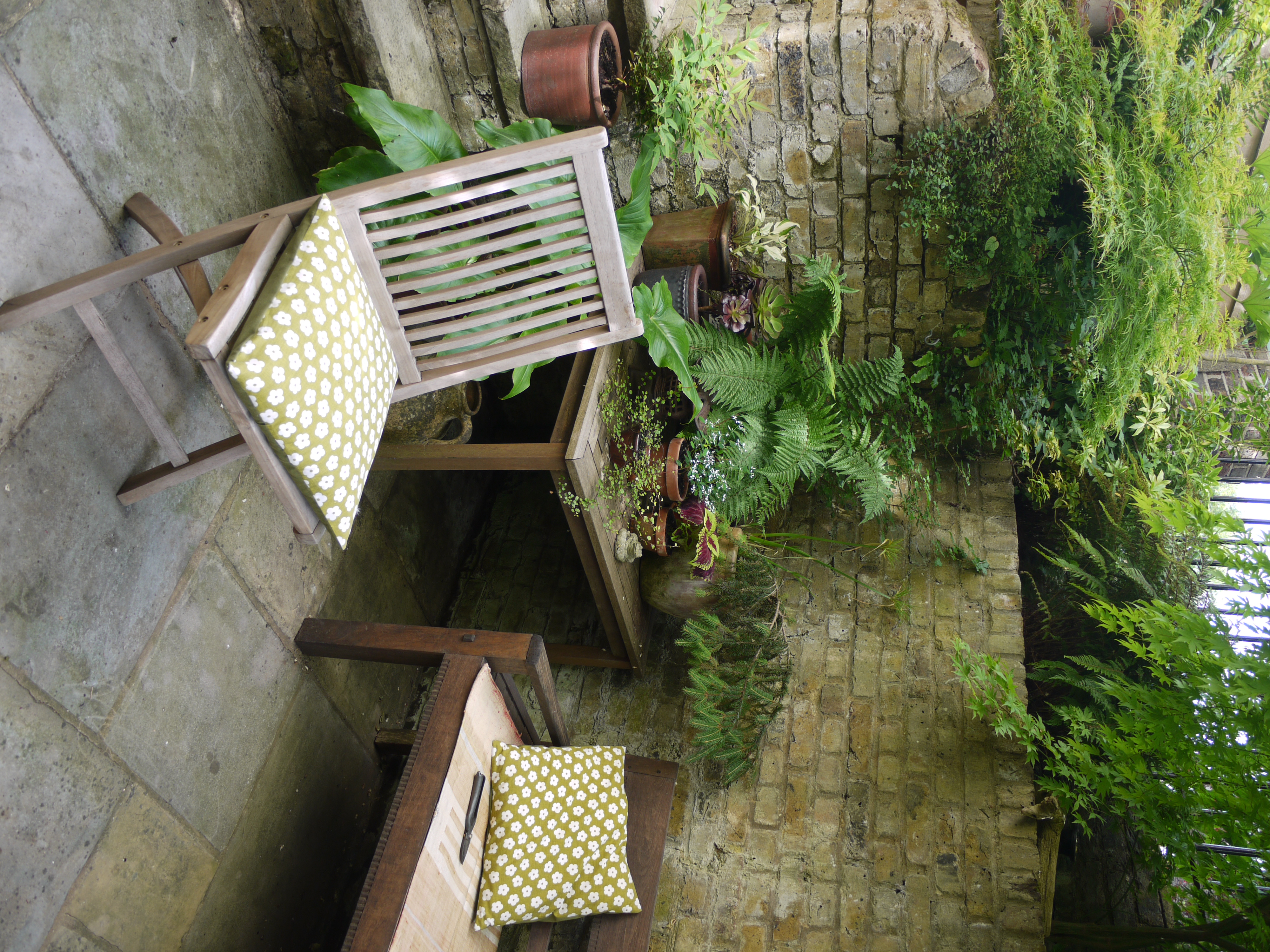 Fran's Back Garden