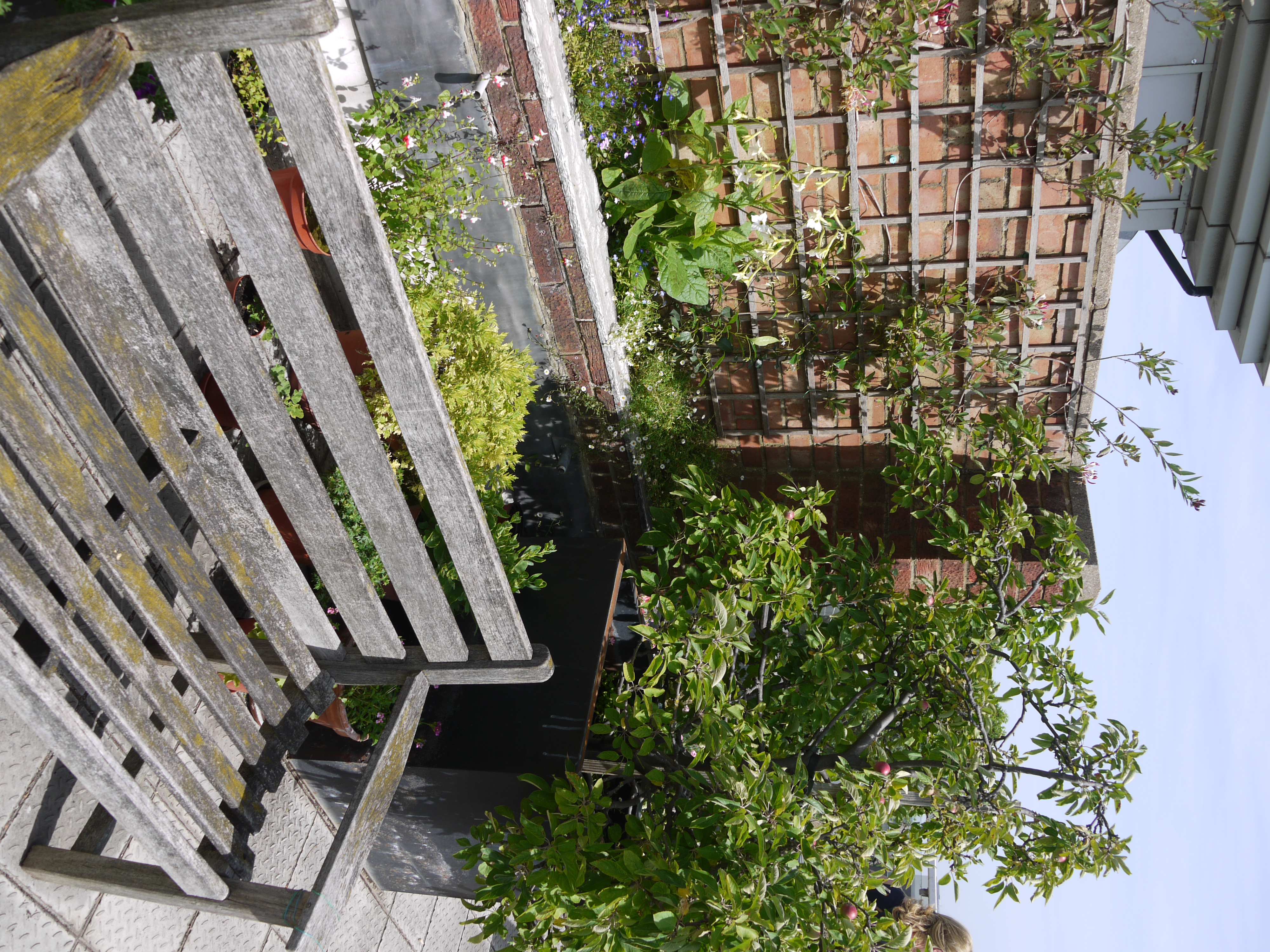 Susan's Roof Terrace