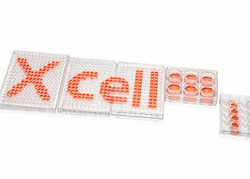 ChatGPT Image Dec 18, 2025, 09_07_47 PM.png